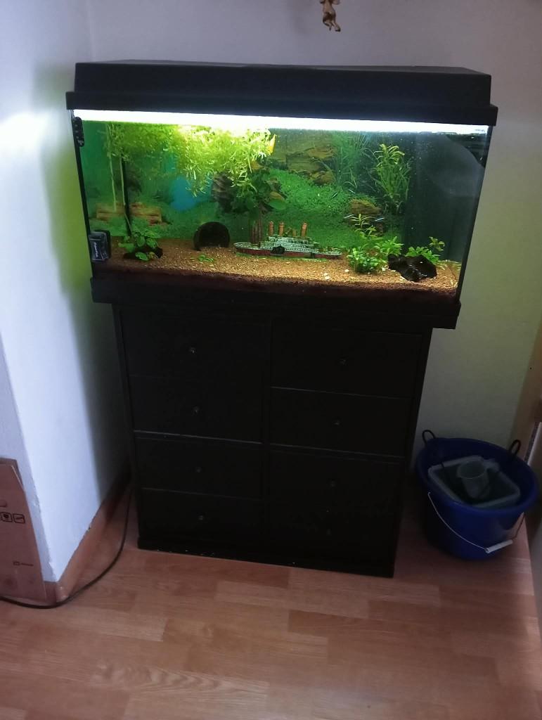 aquarium juwel, Dieren en Toebehoren, Vissen | Aquaria en Toebehoren, Verwarming, Gebruikt, Ophalen of Verzenden, Leeg aquarium