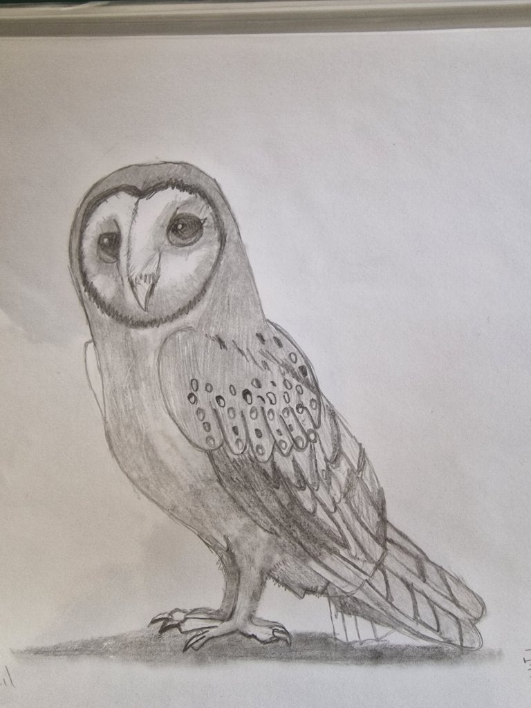 Mooie tekening zelf getekend en geschetst, Ophalen