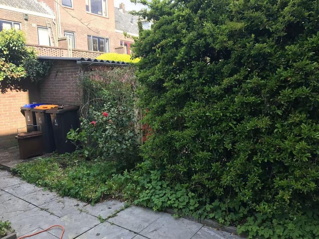 Tuinrenovatie en aanleg - Van wildernis tot droomtuin, Ophalen of Verzenden, 3 tot 6 meter, Hout, 1 tot 2 meter