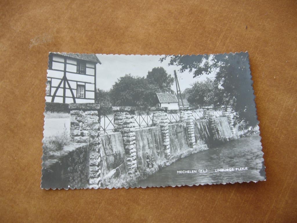 MECHELEN Z.L.  =  LIMBURGS PLEKJE, Verzamelen, Ansichtkaarten | Nederland, Ophalen of Verzenden, 1940 tot 1960, Gelopen, Limburg