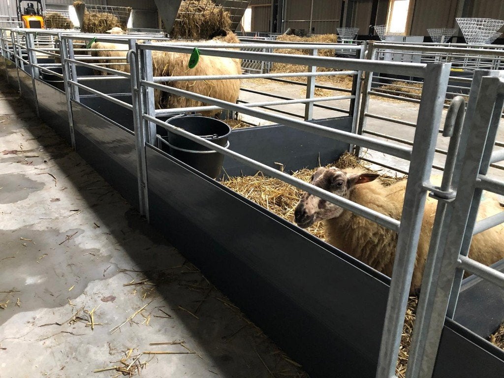 Zelfsluitend voerhek stalinrichting Veno schapenhek combinet, Dieren en Toebehoren