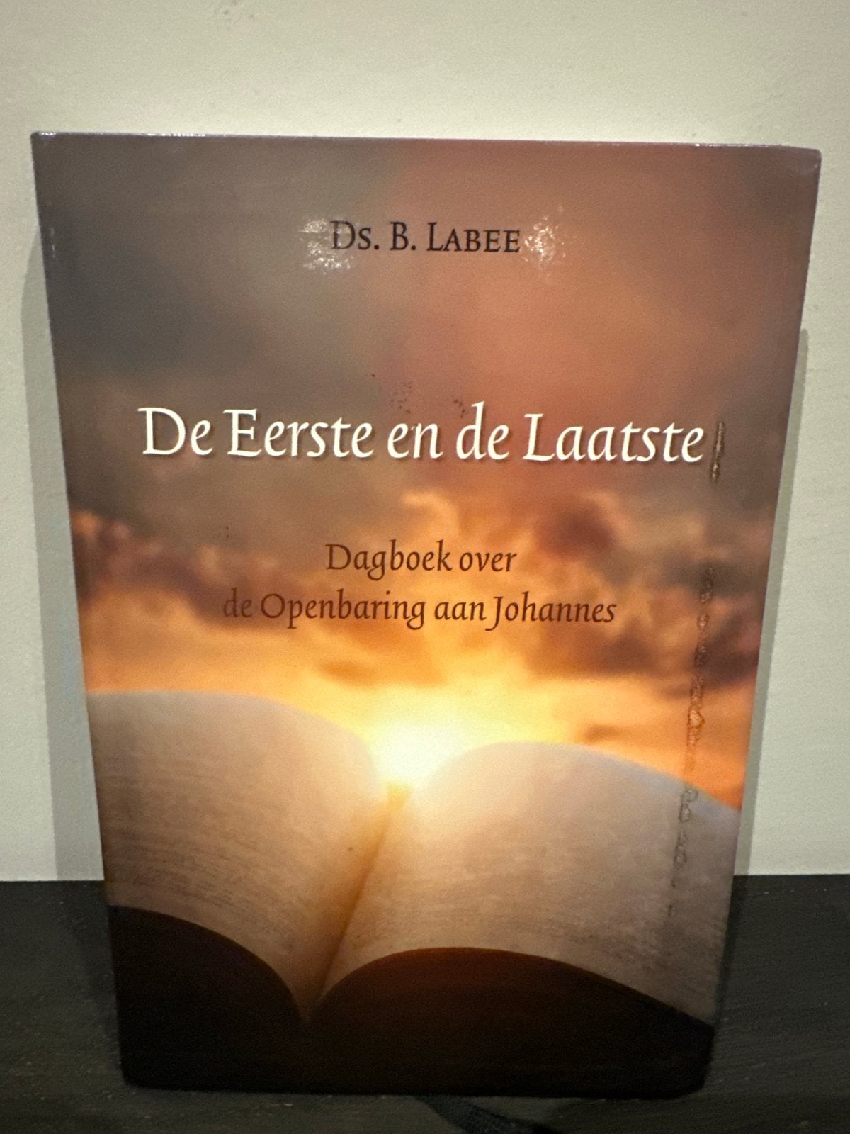 De Eerste en de Laatste - Dagboek Openbaring Johannes, Boeken, Ophalen of Verzenden, Zo goed als nieuw, Christendom | Protestants