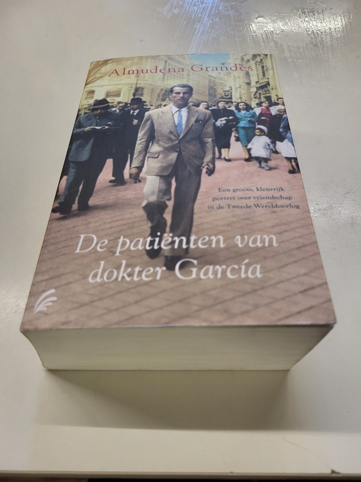 Almudena Grandes - De patiënten van dokter García, Ophalen of Verzenden, Zo goed als nieuw, Almudena Grandes