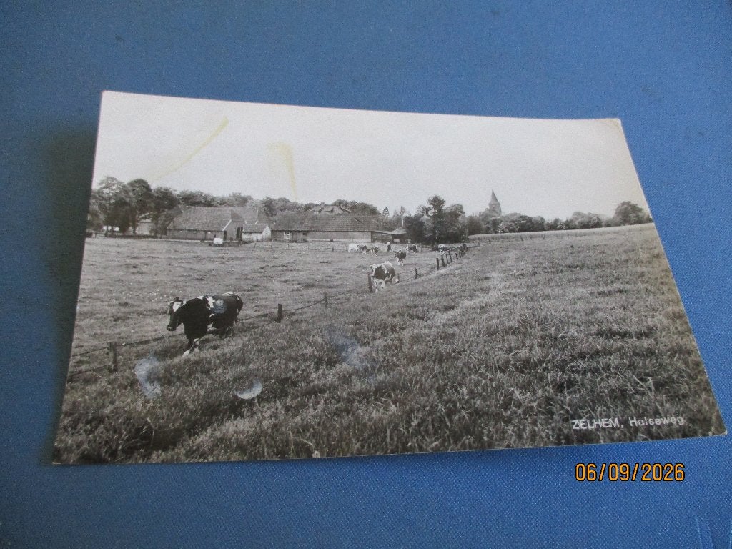 Zelhem, Ophalen of Verzenden, Voor 1920, Gelopen, Noord-Brabant