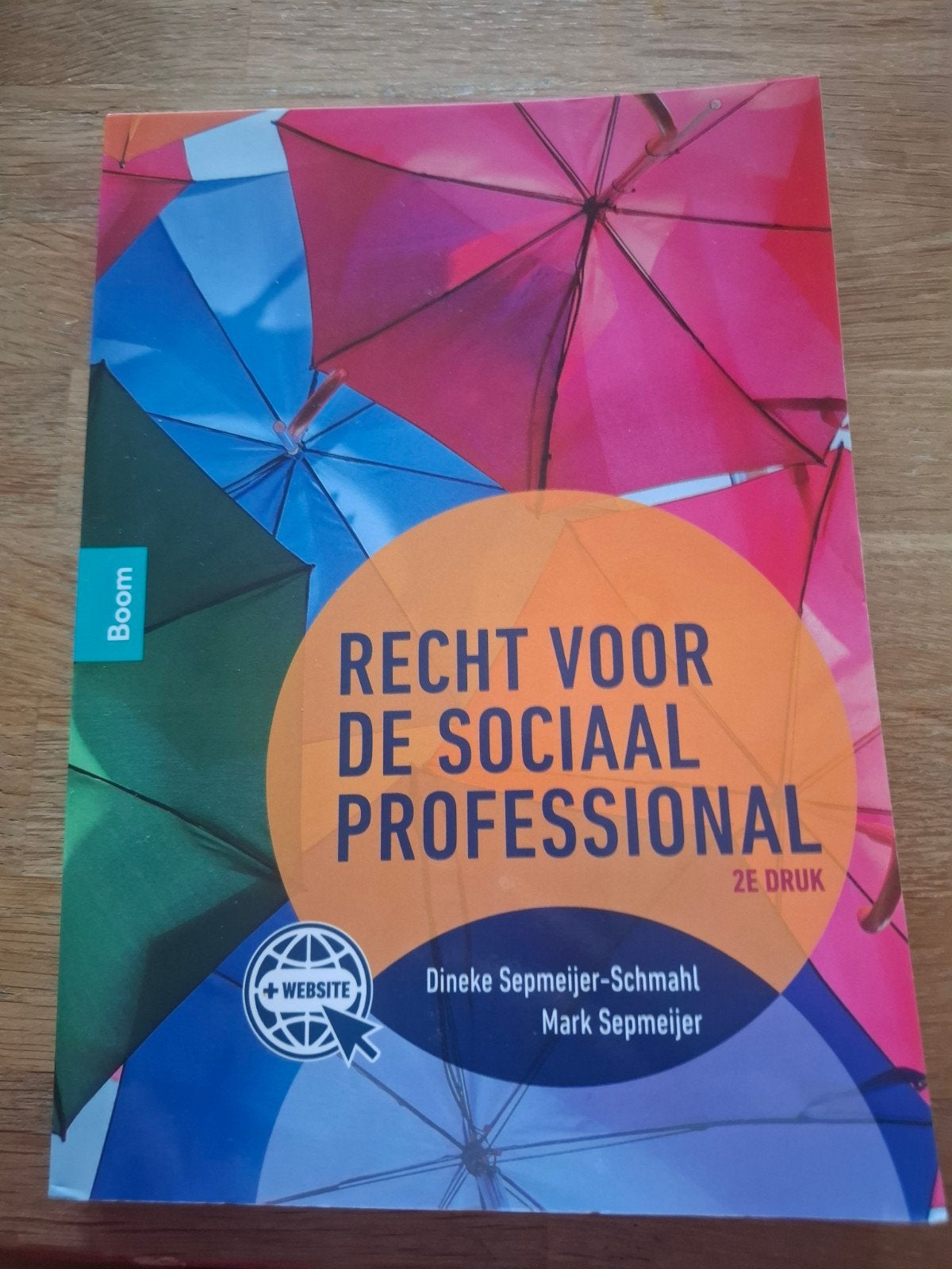 Recht voor de Sociaal Professional - 2e druk, Boeken, Dineke Sepmeijer-Schmahl, Mark Sepmeijer, Zo goed als nieuw, Gamma, HBO