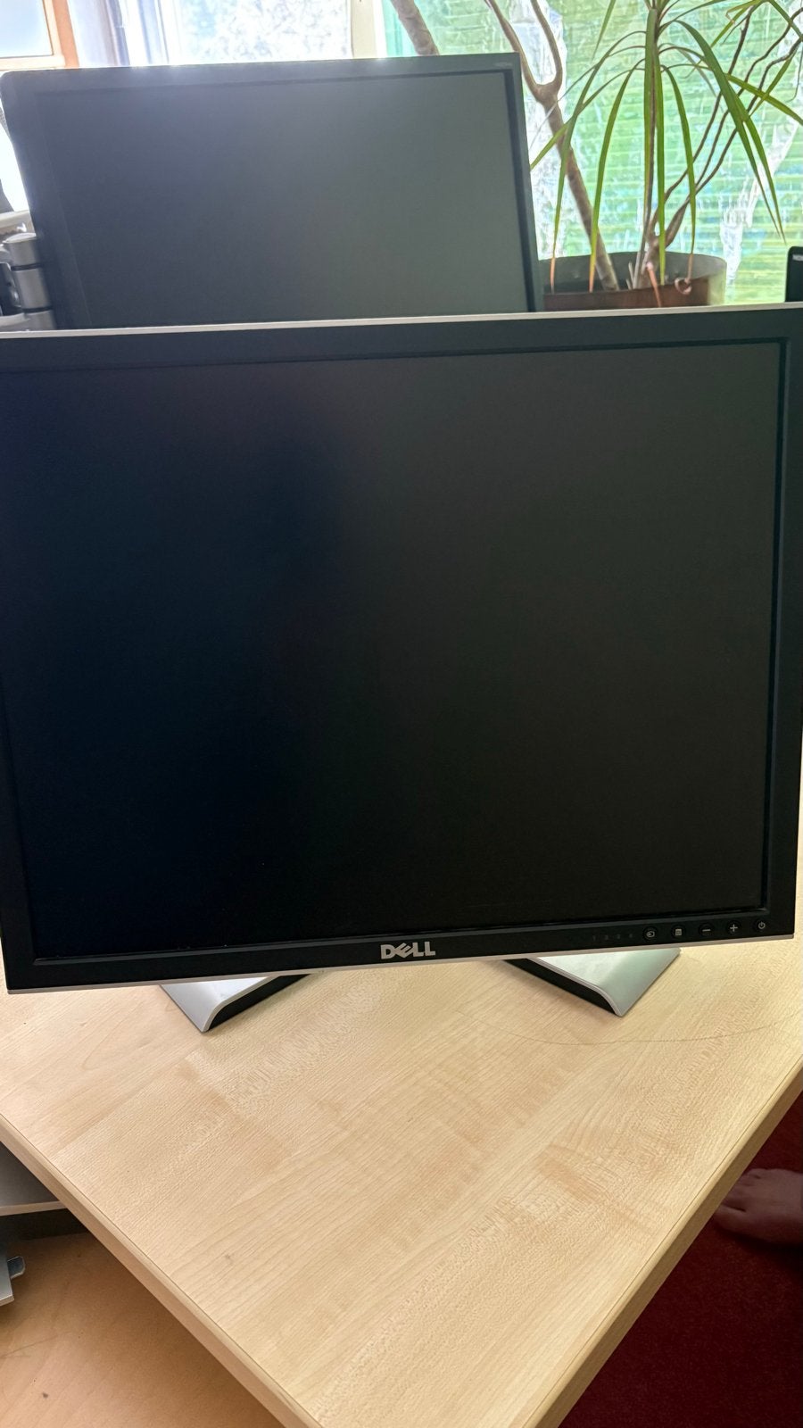 2 Dell monitoren inclusief standaarden, Ophalen of Verzenden, Gebruikt, DVI