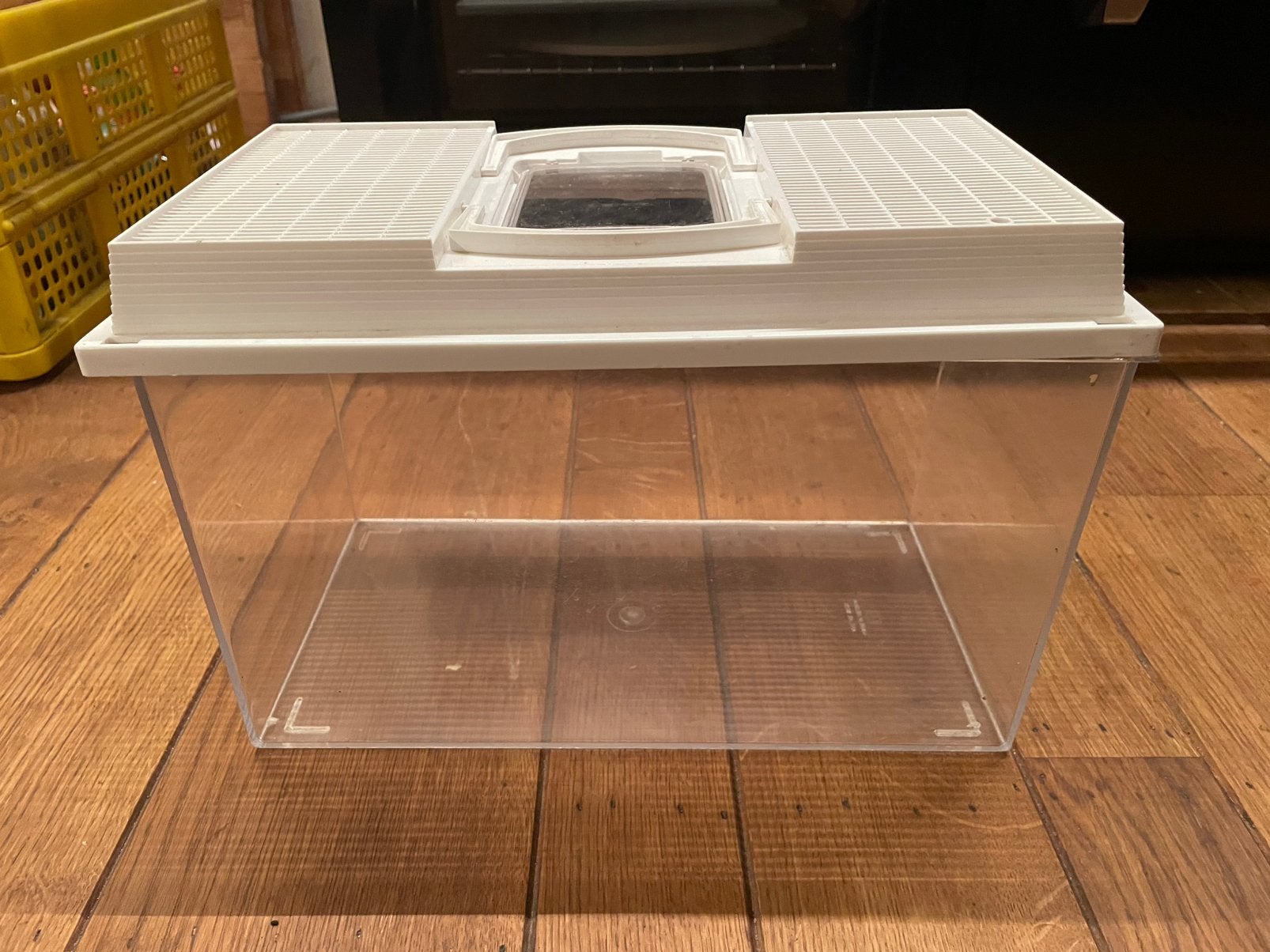 Terrarium, Dieren en Toebehoren, Reptielen en Amfibieën | Toebehoren, Ophalen of Verzenden, Zo goed als nieuw, Terrarium of Paludarium