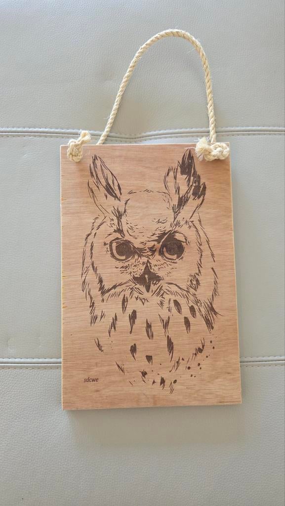 Houten decoratie uil, Ophalen of Verzenden