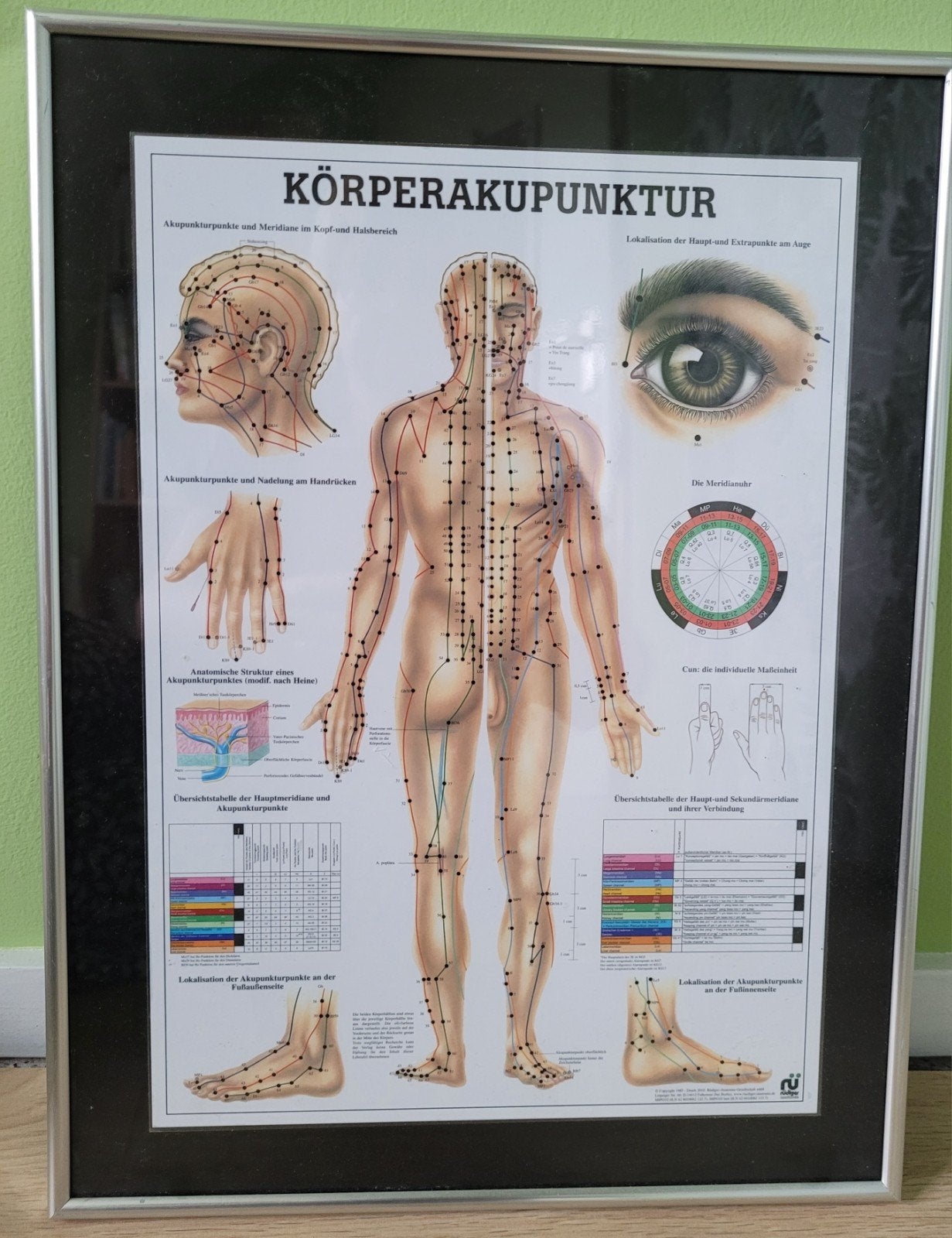 afbeelding met acupuntuurpunten. tekst in duits, Ophalen, Nieuw, Overige typen