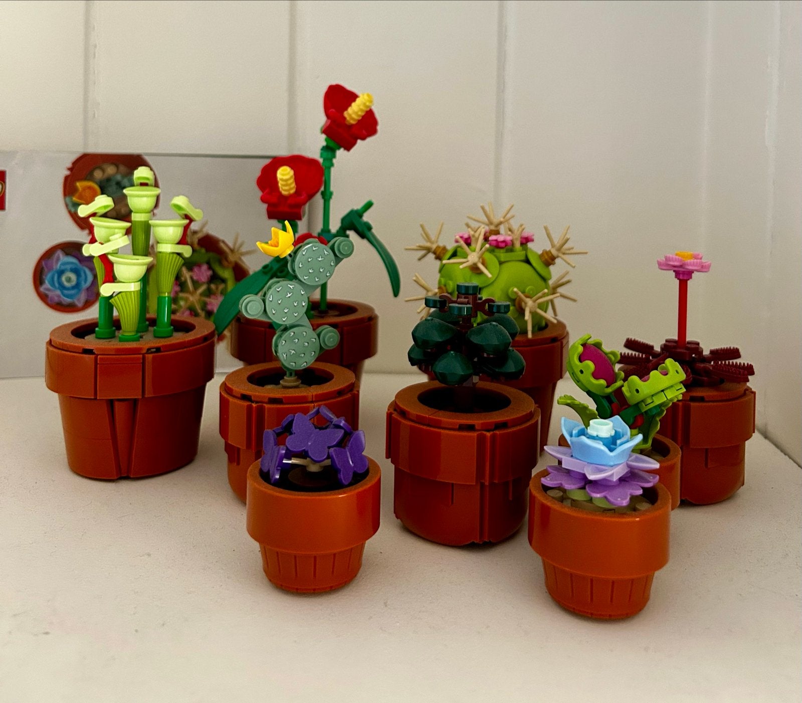 Lego Botanicals Cactus Collectie - Diverse Planten, Ophalen, Zo goed als nieuw, Overige merken