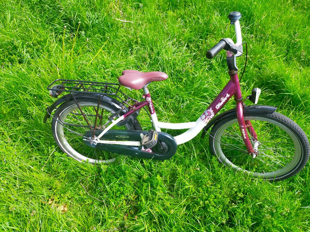 Alpina meisjes fiets 20 inch (alleen ophalen), Ophalen, Terugtraprem, Gebruikt, Alpine
