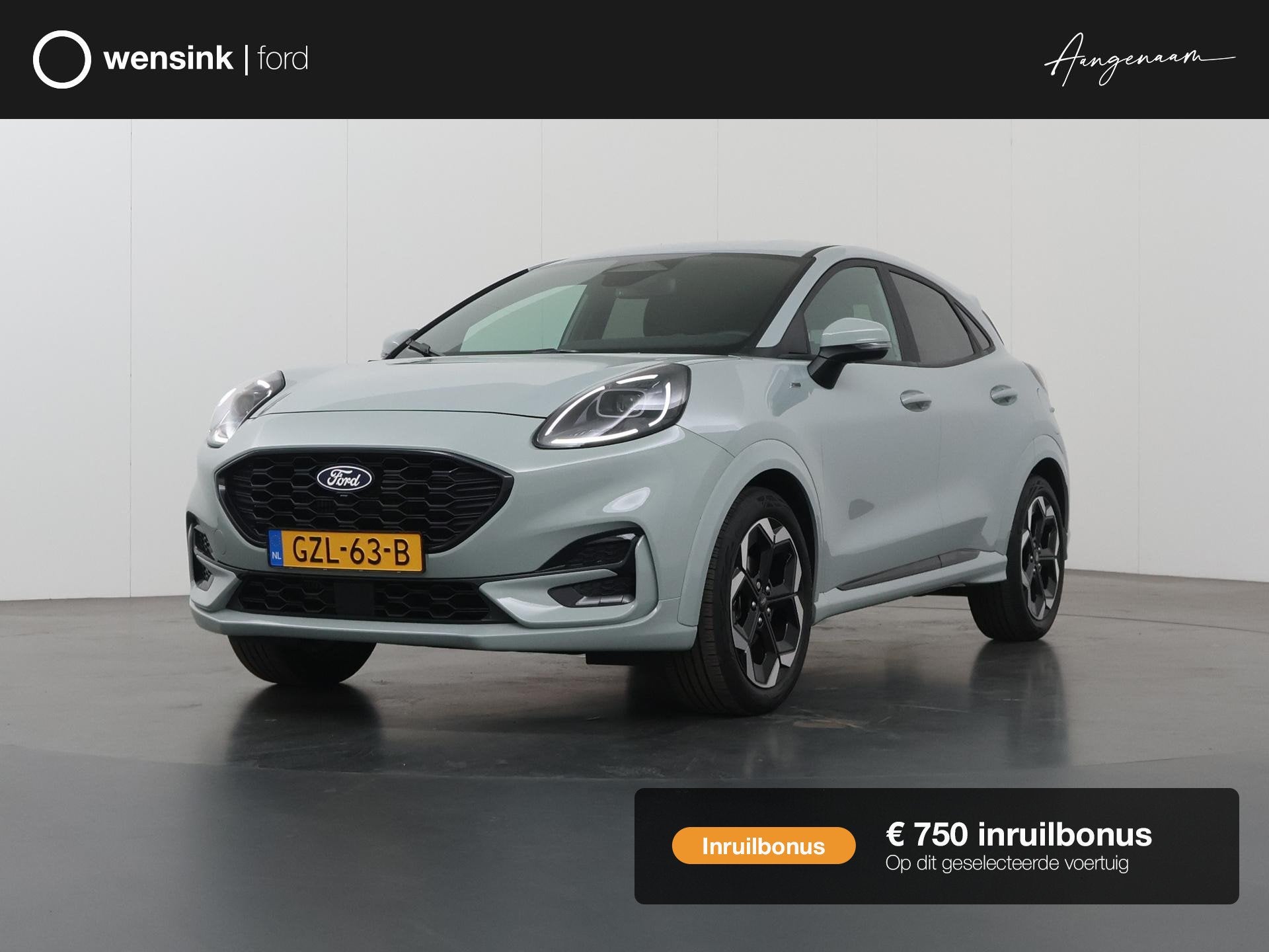 Ford Puma 1.0 EcoBoost Hybrid ST-Line X | Trekhaak | Winterp