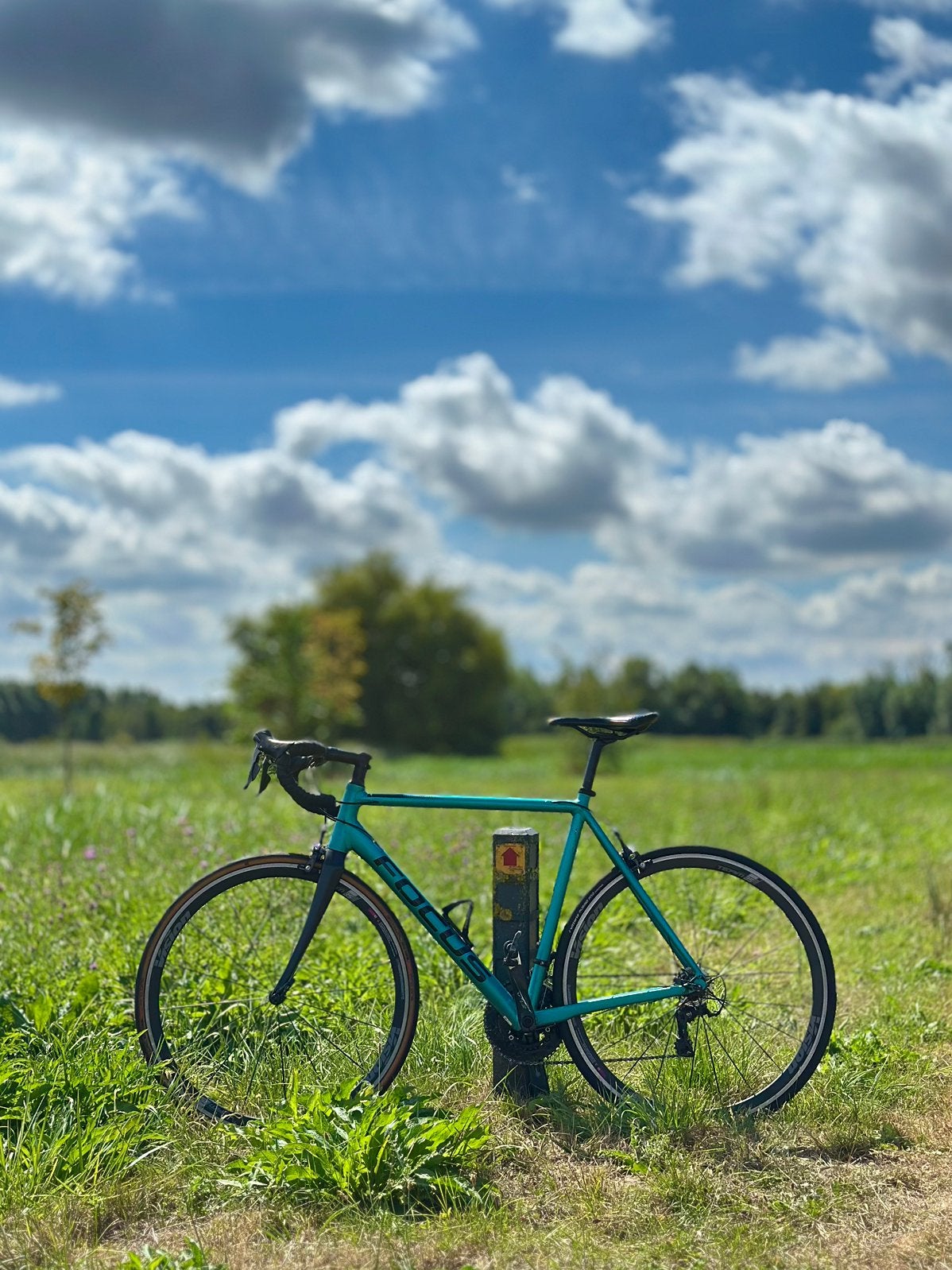 Racefiets - Focus Izalco - maat 57, Fietsen en Brommers, Overige merken, Aluminium, Ophalen of Verzenden, Zo goed als nieuw