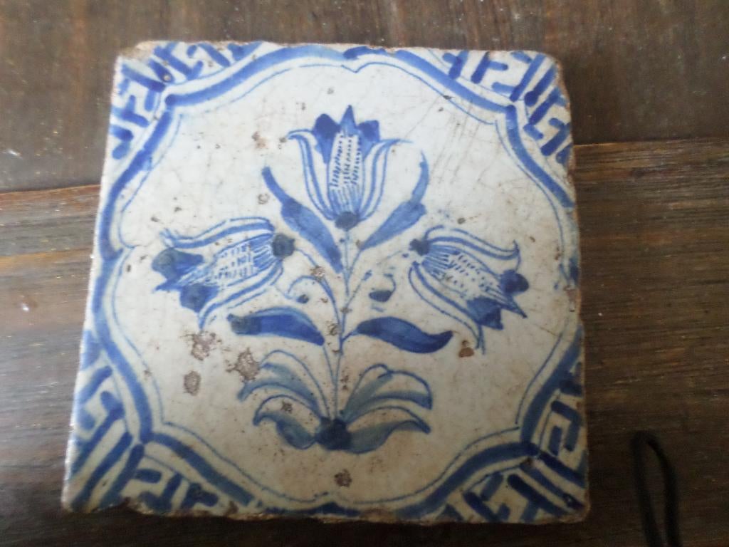 17e eeuwse tulptegel ., Ophalen of Verzenden