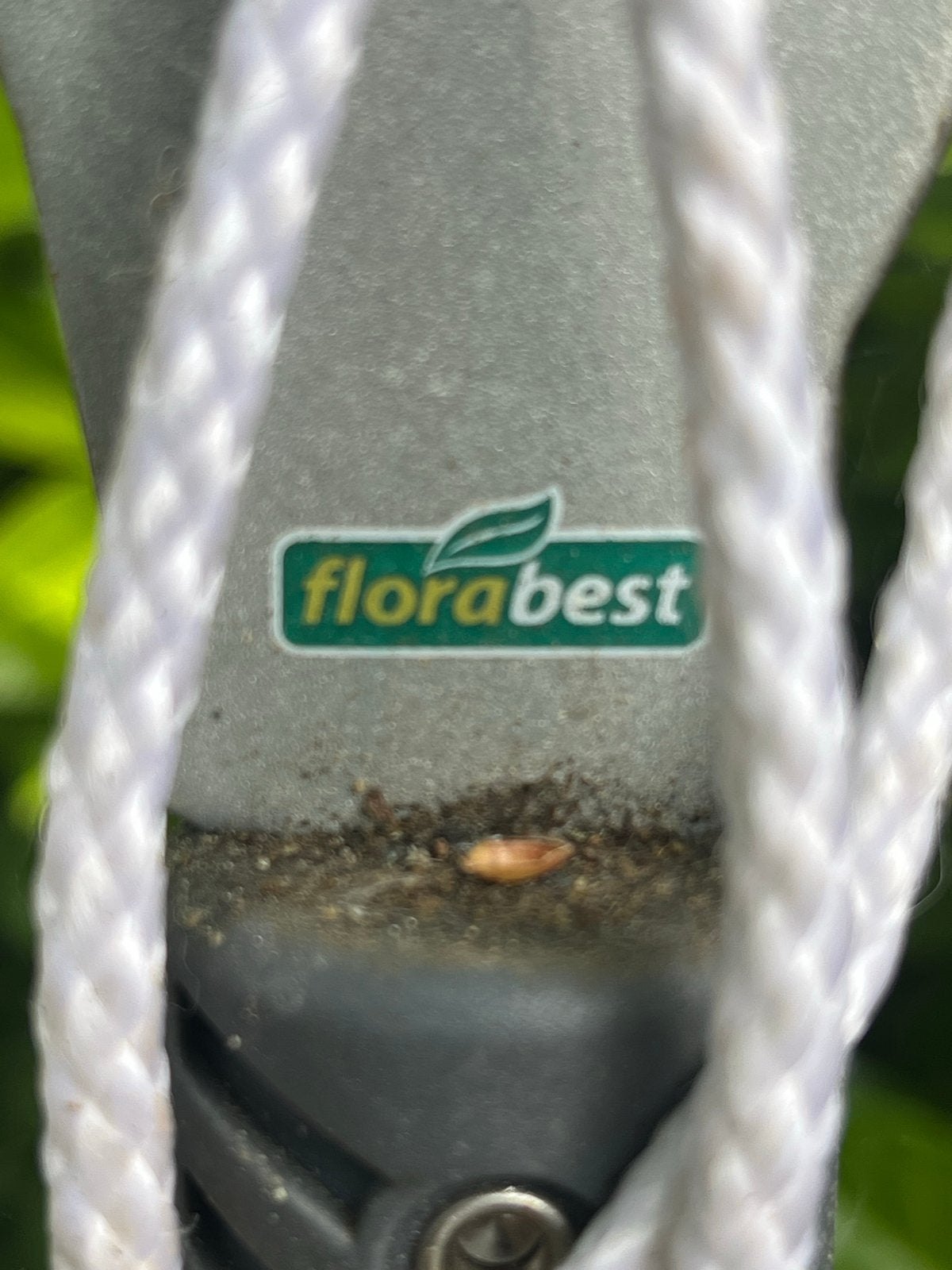 Florabest takkenschaar op steel & grond boor., Tuin en Terras, Ophalen, Gebruikt, 20 t/m 29 mm