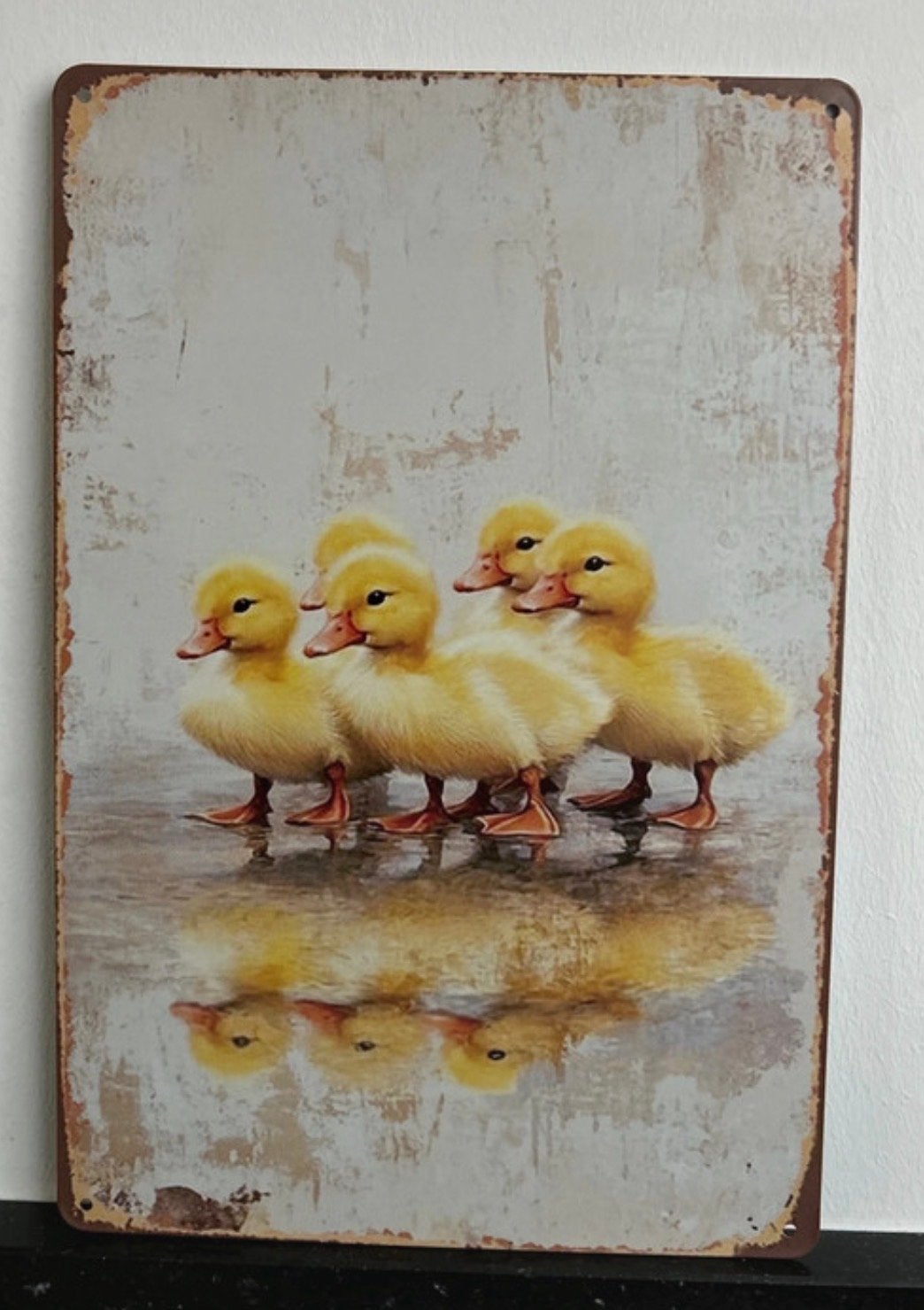 2D bedrukt aluminium paneel met eendjes - 20x30 cm, Metaal, Meerkleurig, Nieuw, Ophalen of Verzenden