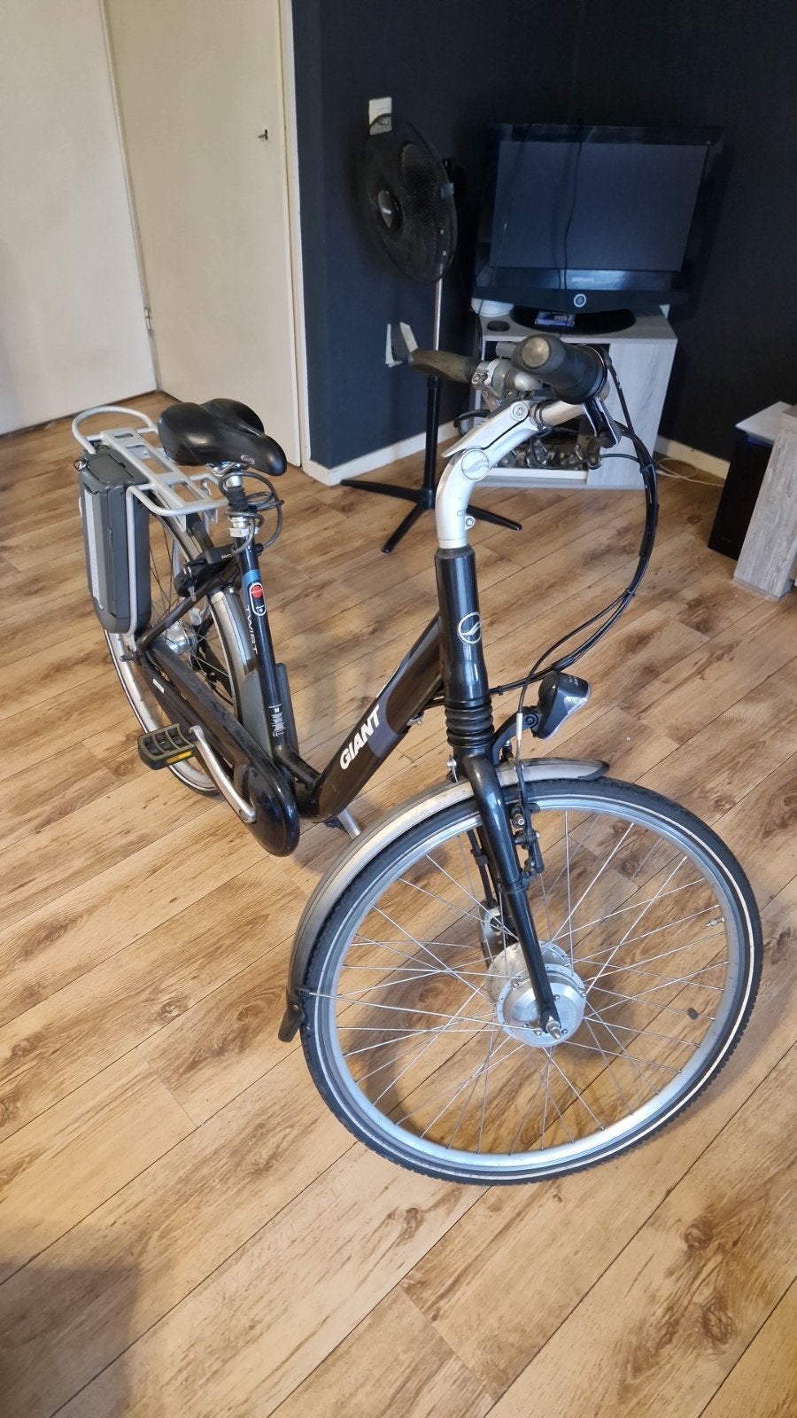 Giant Twist Elektrische Fiets - Comfortabel en Betrouwbaar, Ophalen, Gebruikt, Giant, 51 tot 55 cm