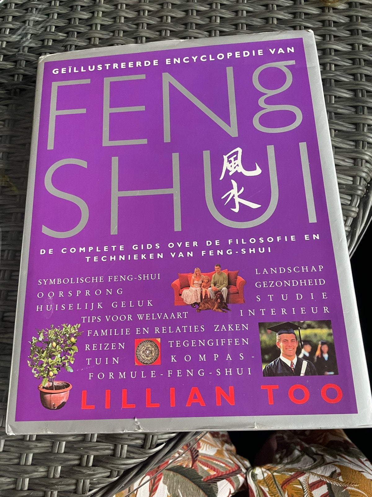 Geïllustreerde Encyclopedie van Feng Shui - Lillian Too, Ophalen of Verzenden, Zo goed als nieuw, Spiritualiteit algemeen, Achtergrond en Informatie
