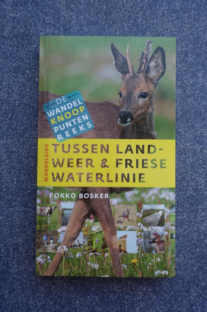Fokko Bosker. Tussen landweer & Friese Waterlinie (wandelen), Overige merken, Nieuw, Ophalen of Verzenden, Reisgids of -boek