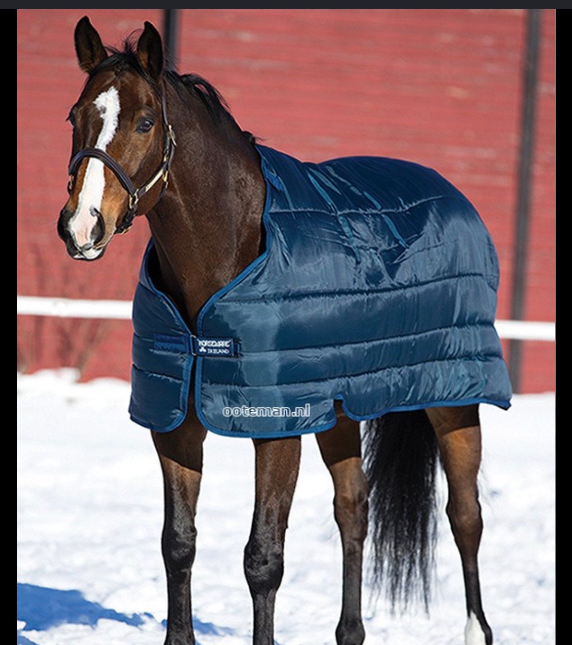 300 gram liner horseware maat 6.3, Dieren en Toebehoren, Ophalen of Verzenden, Nieuw, Deken