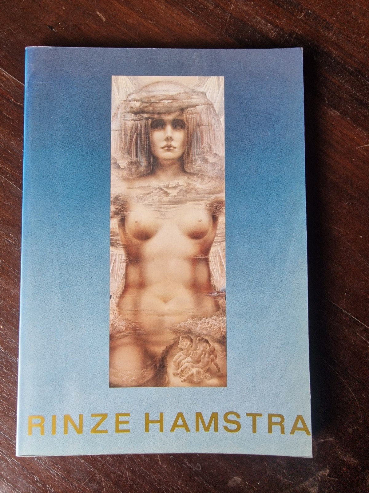 Rinze Hamstra - Kunstboek met tekeningen en schilderijen, Ophalen of Verzenden, Zo goed als nieuw, Rinze Hamstra