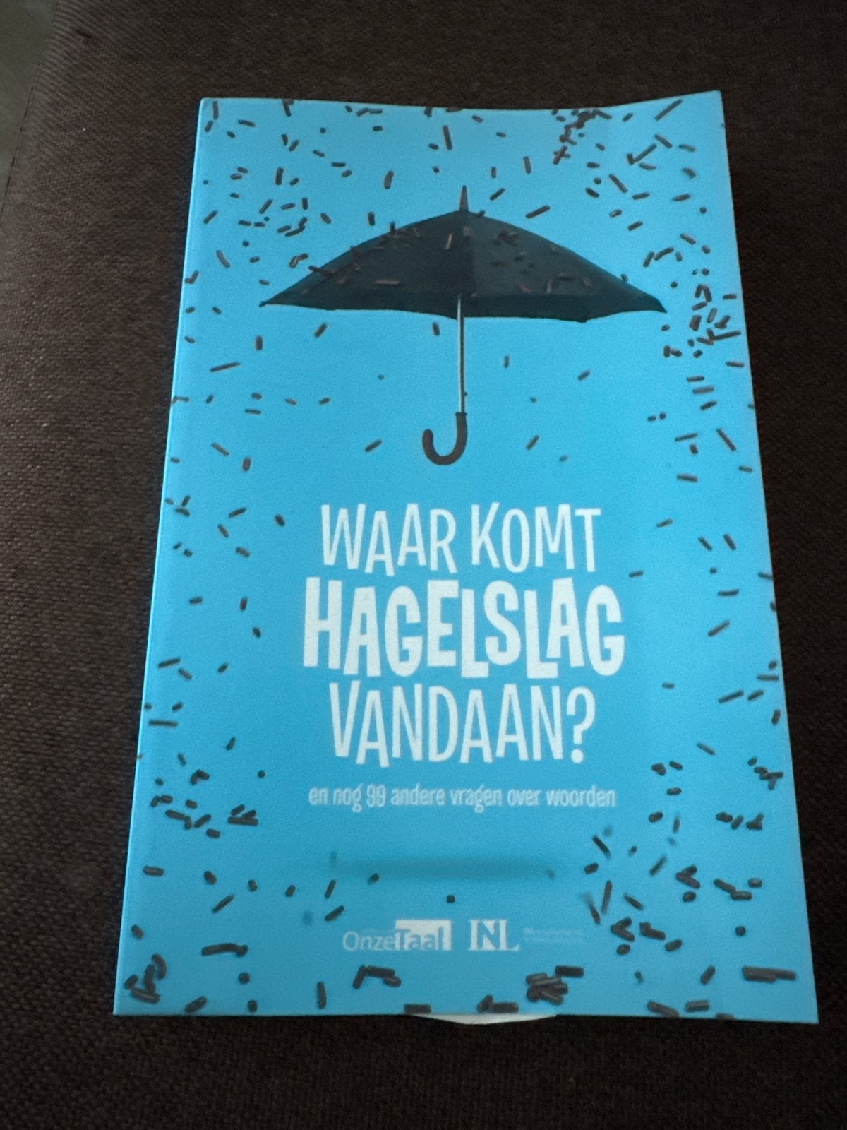 Waar komt hagelslag vandaan? - Boek over woorden, Ophalen of Verzenden, Zo goed als nieuw, Nederland