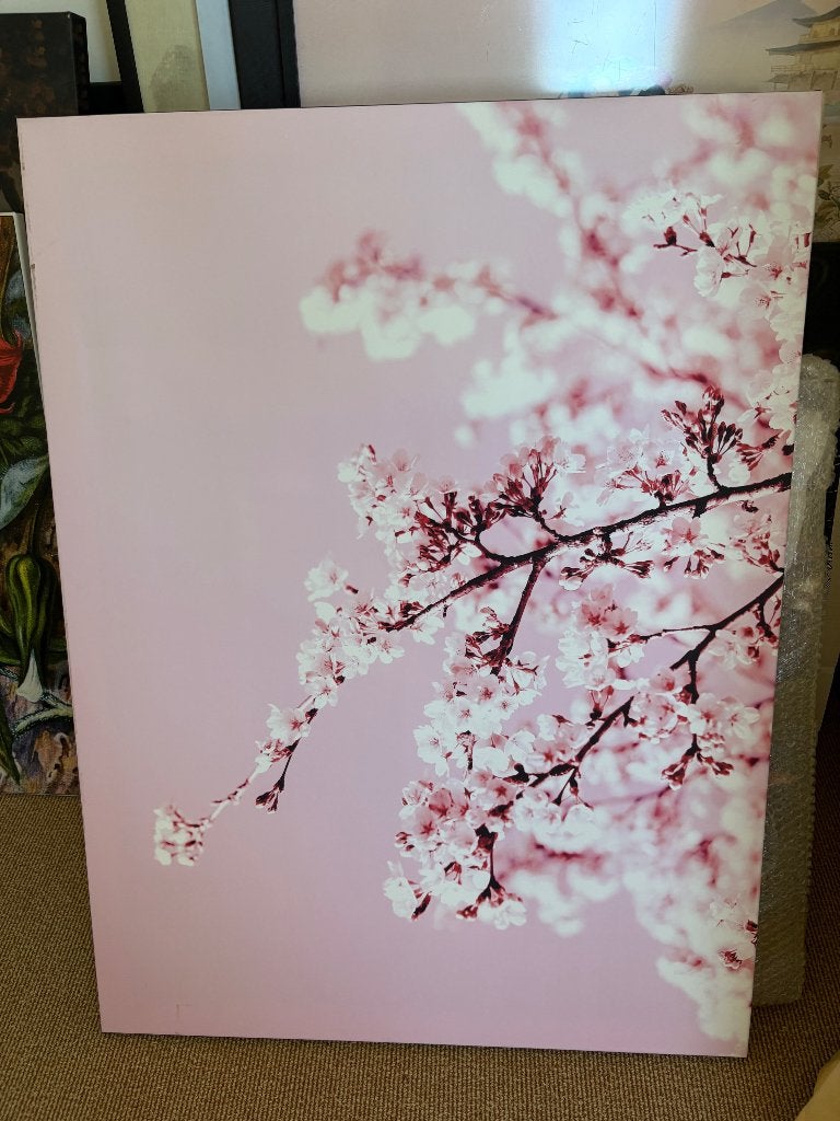 Canvas Japanse bloemen roze en wit, Huis en Inrichting, Woonaccessoires | Schilderijen, Tekeningen en Foto's, Ophalen, Gebruikt