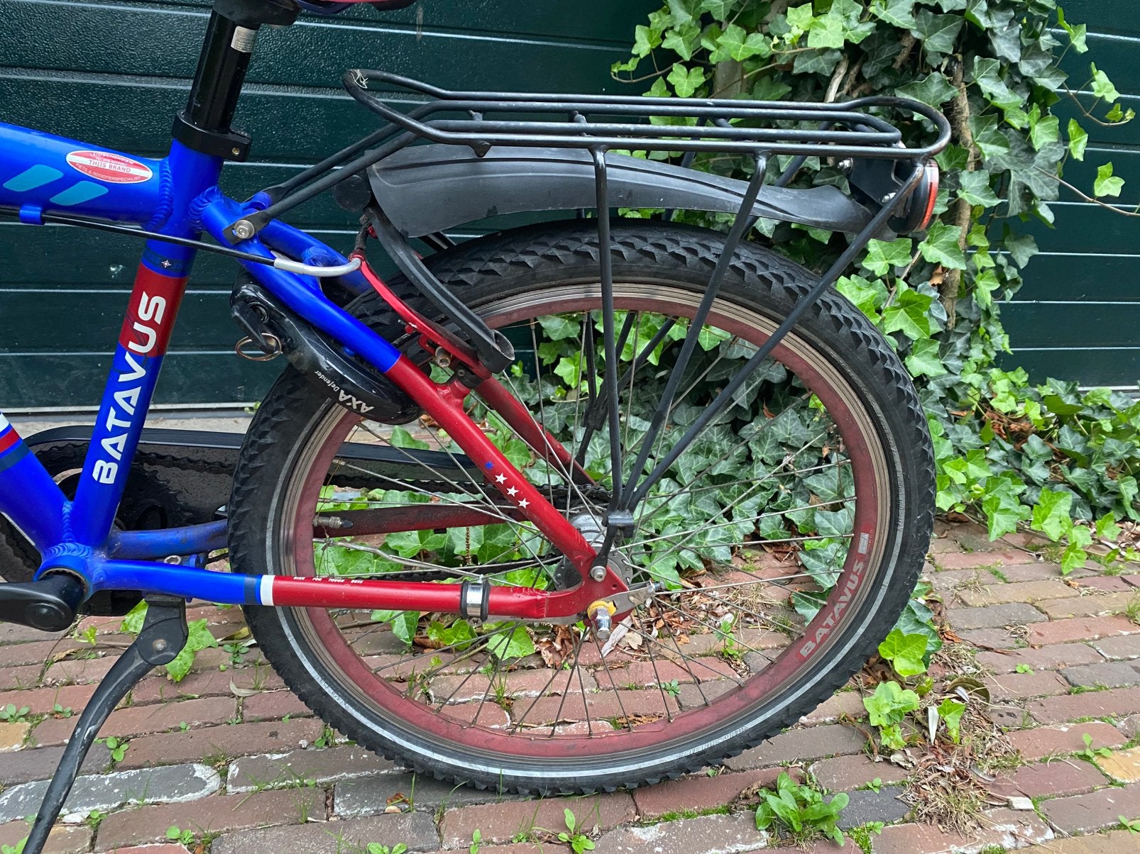 Foto 3 van Batavus Snake 24 inch