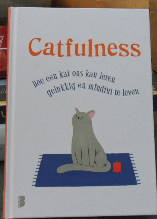 Catfulness, hoe een kat ons kan leren gelukkig en mindful, Ophalen of Verzenden, Zo goed als nieuw, Katten