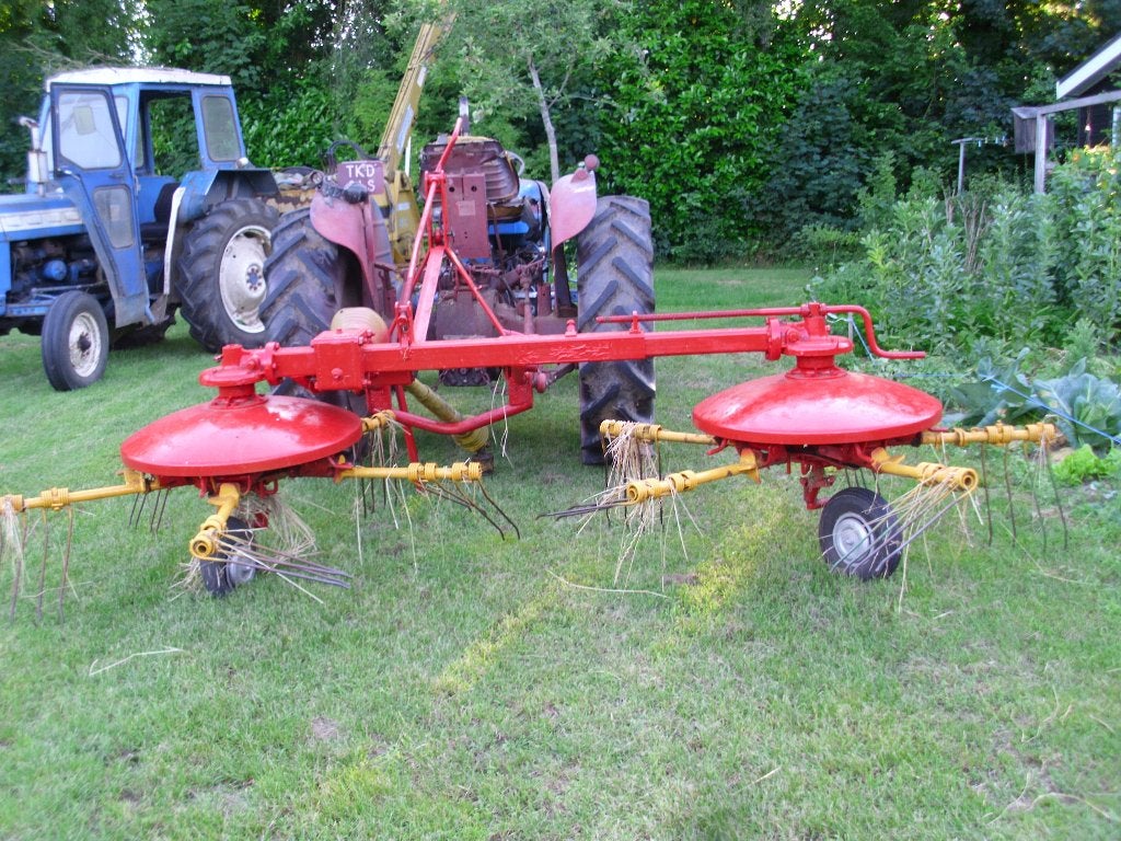 fella  harkje, Ophalen of Verzenden, Veehouderij, Weidebouw