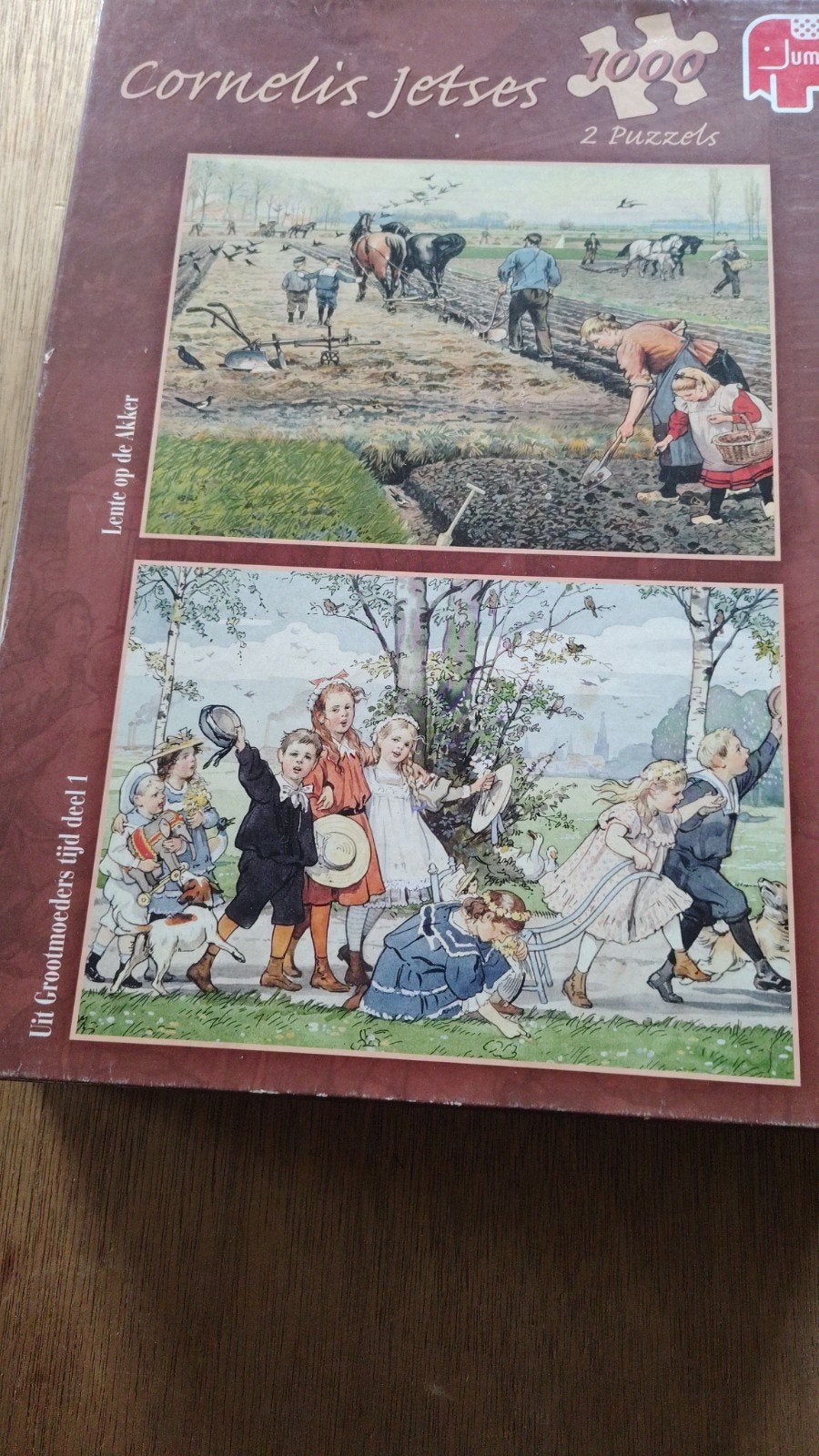 Cornelis Jetses puzzel, Ophalen of Verzenden