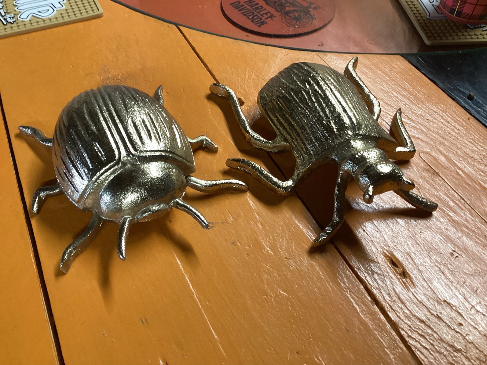 Grote bronskleurige insecten