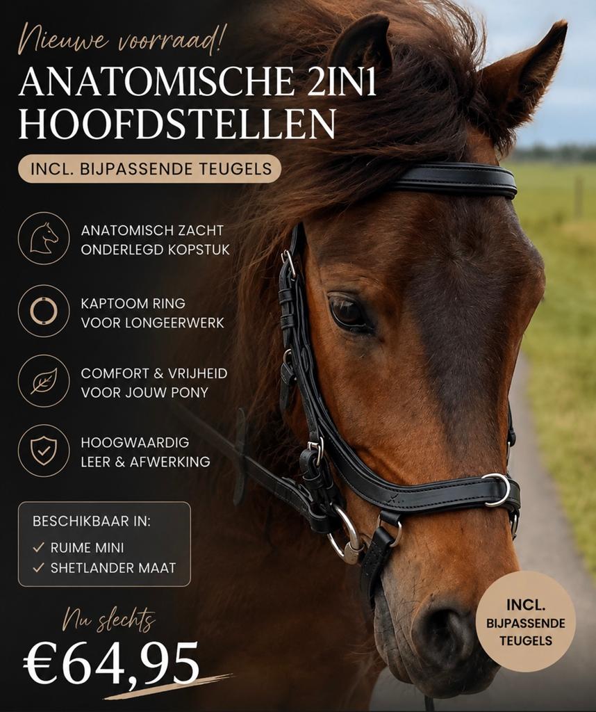 Nieuw anatomisch 2in1 hoofdstel kaptoom zwart mini en shet, Nieuw, Ophalen of Verzenden, A, A