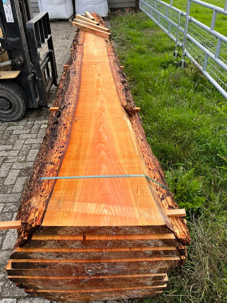 Dikke Douglas plank Boomstamplank Schaaldeel, Tuin en Terras, Ophalen of Verzenden, Nieuw, 250 cm of meer, Planken