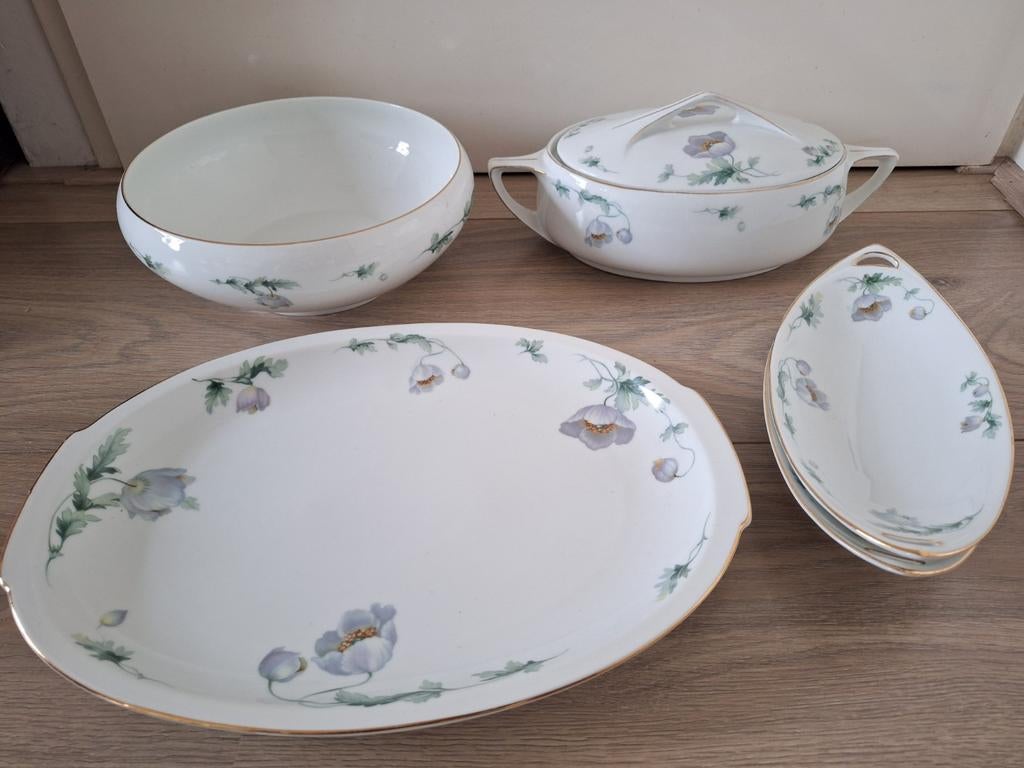 Bohemia Donatello Tsjecho-Slowakije servies onderdelen, Ophalen