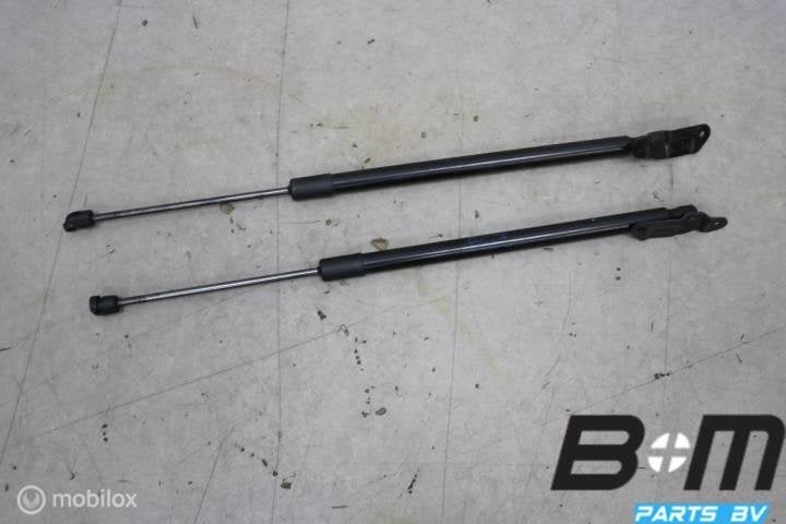 Set gasdrukveren achterklep VW Tiguan 5NA 5NA827550B, Gebruikt