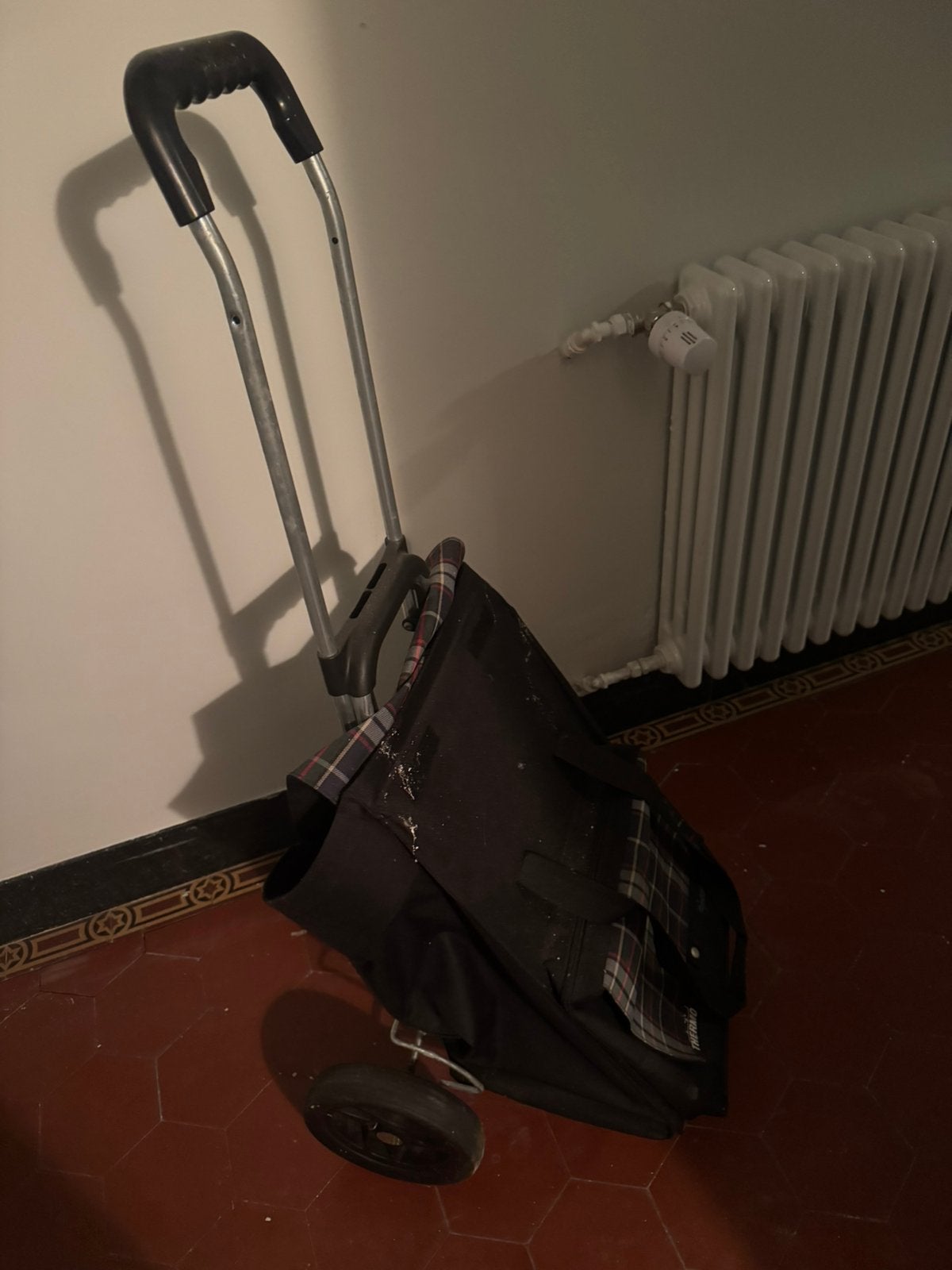 marktkar / boodschappen trolley, Ophalen, Zo goed als nieuw