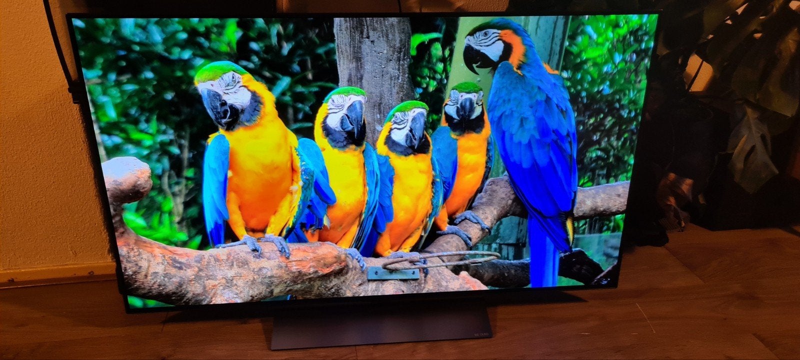 LG OLED evo C3 – 48inch 4K OLED Smart TV – 120Hz HDR10 Dolby, Ophalen, Zo goed als nieuw, 100 cm of meer, 4k (UHD)