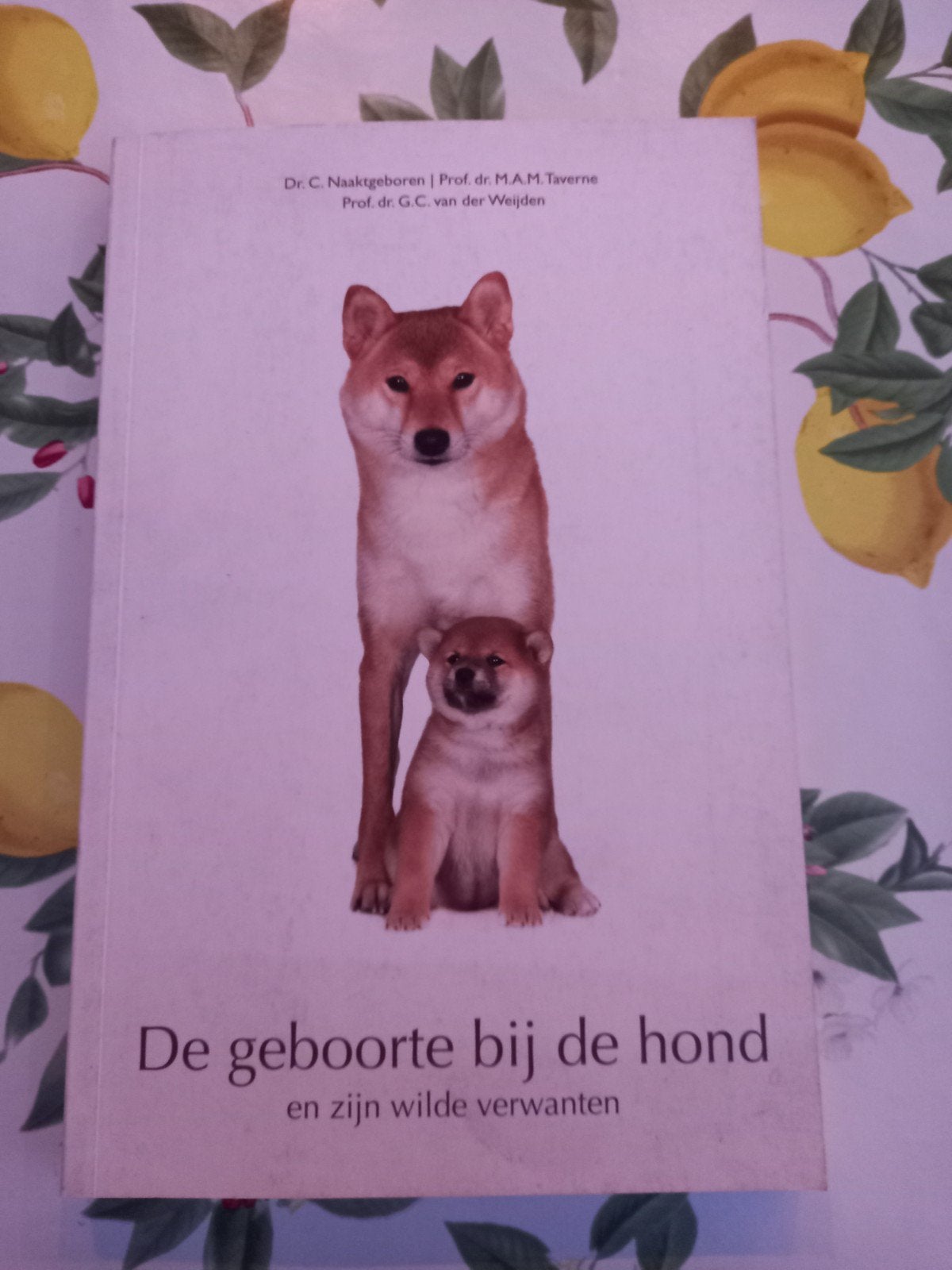 M8 C. Naaktgeboren - De geboorte bij de hond, Honden, Ophalen of Verzenden, Zo goed als nieuw, C. Naaktgeboren; M.A.M. Taverne; G.C. van der Weijden