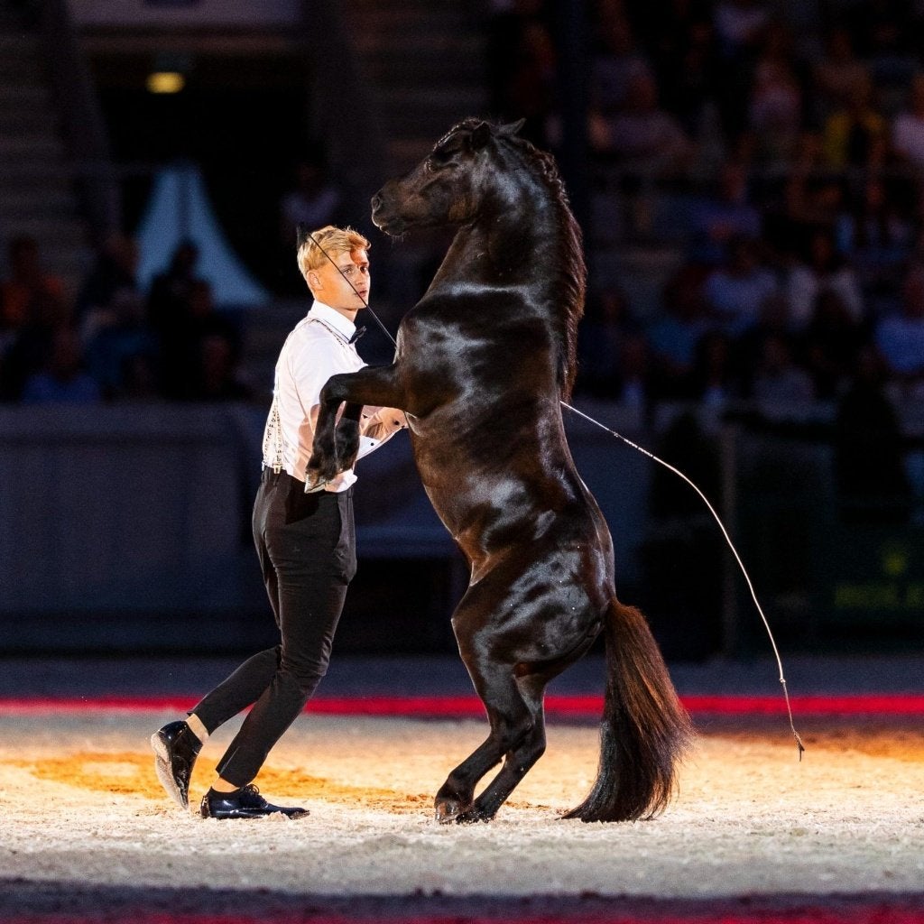 Gezocht: Horse Event Avondshow kaartjes voor 12 september, Tickets en Kaartjes, Overige Tickets en Kaartjes, Twee personen