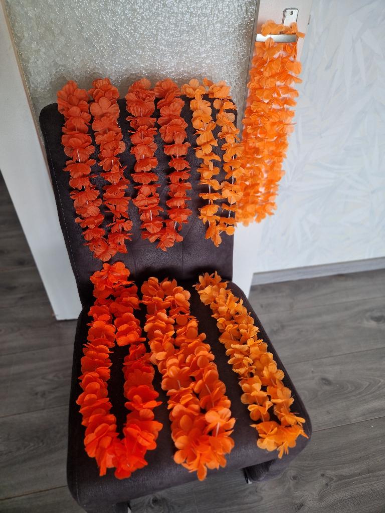 Feestartikelen, Ophalen, Zo goed als nieuw, Versiering, Oranje of Koningsdag