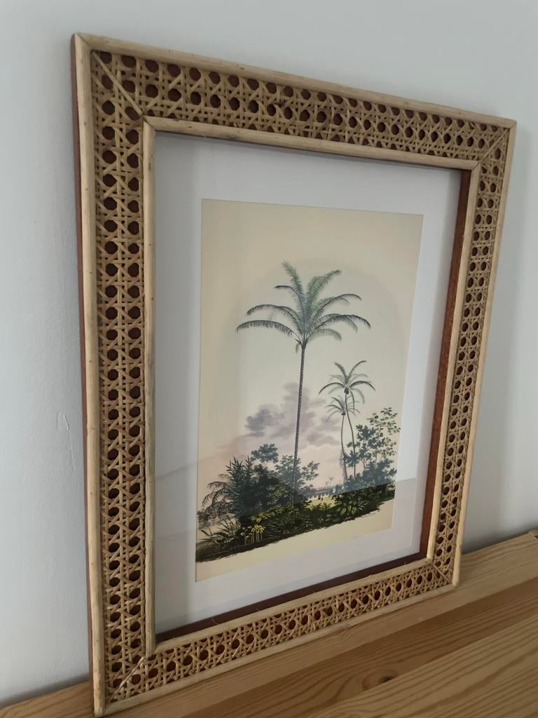 Fotolijst 41x51 cm met jungle poster, Ophalen of Verzenden