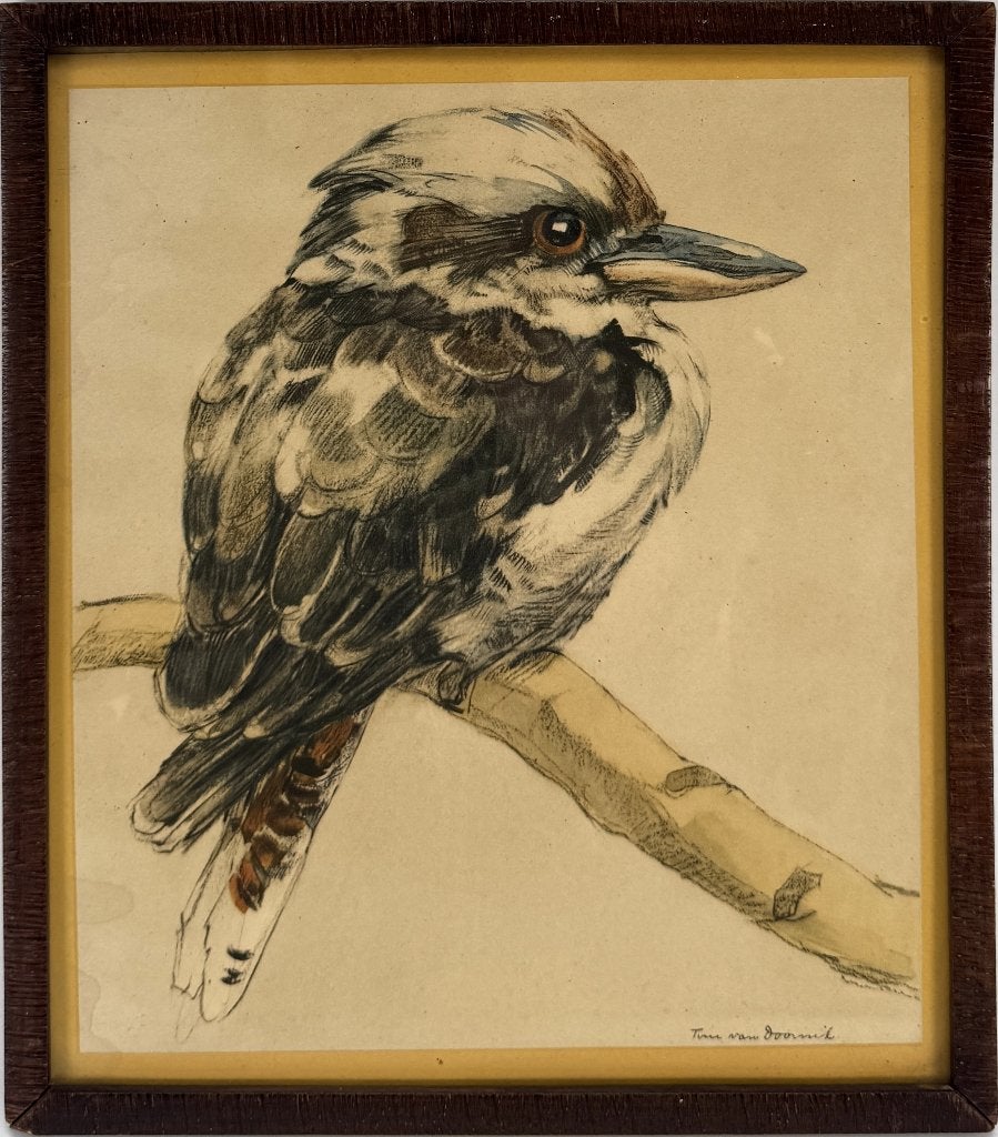 1127. Tekening, Tini van Doornik – kookaburra op tak, Ophalen