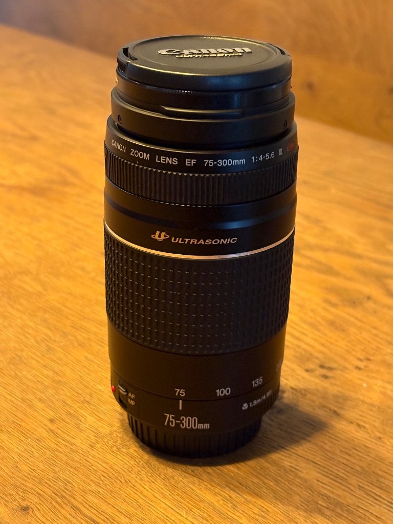 Canon EF 75-300mm USM lens, Gebruikt, Canon, Canon EF, Telelens