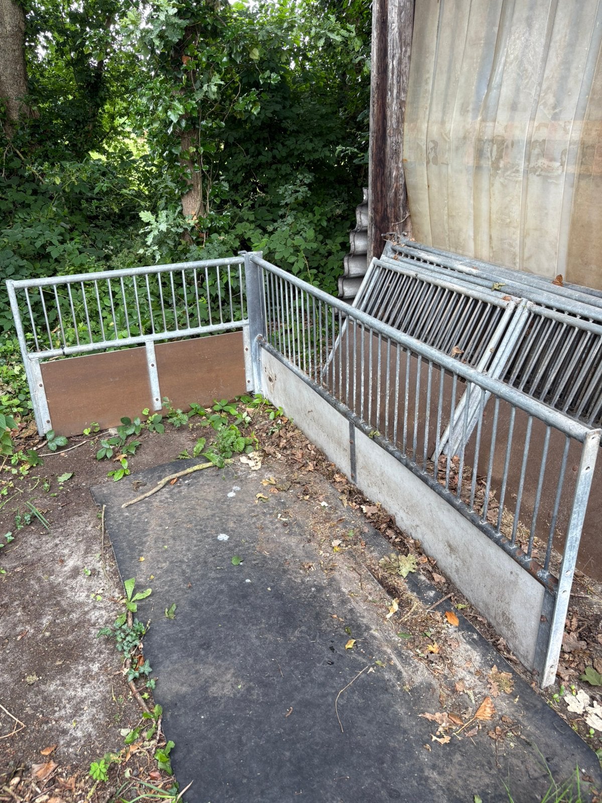 Schapen hekjes aflammer boxen, Opfok