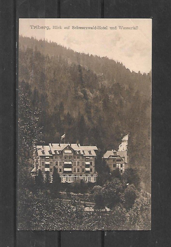 Duitsland Kaart uit Triberg  Schwarzwald Hotel  blanco, Ophalen, Voor 1920, Ongelopen, Duitsland