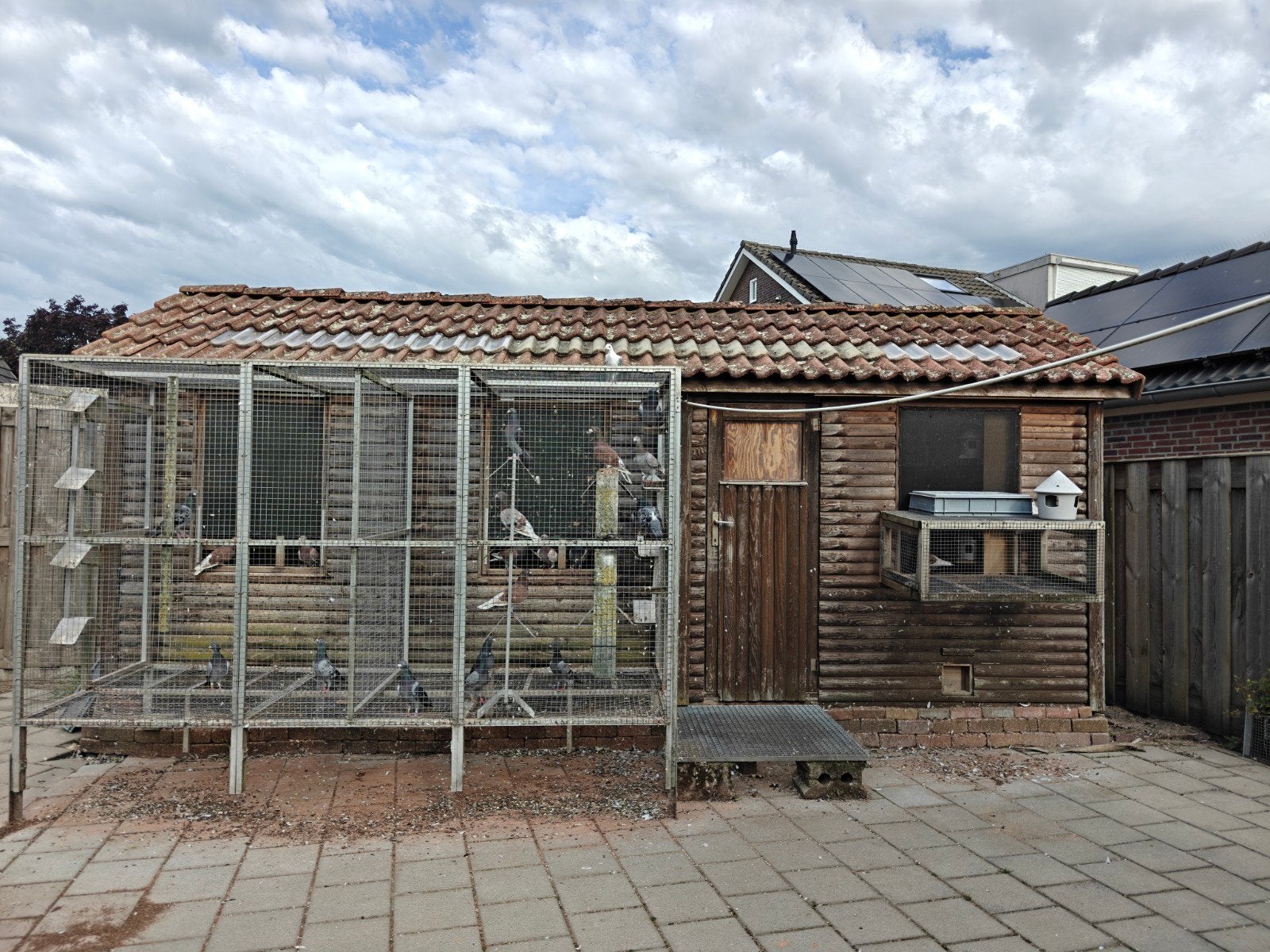 duivenhok zonder ren, Dieren en Toebehoren, Ophalen, Gebruikt, Hout, Overige typen