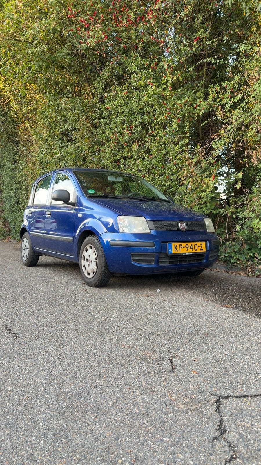 Fiat Panda 1.1 2010 Blauw/nieuwe apk/koopje, Voorwielaandrijving, 54 pk, Bedrijf, Handgeschakeld