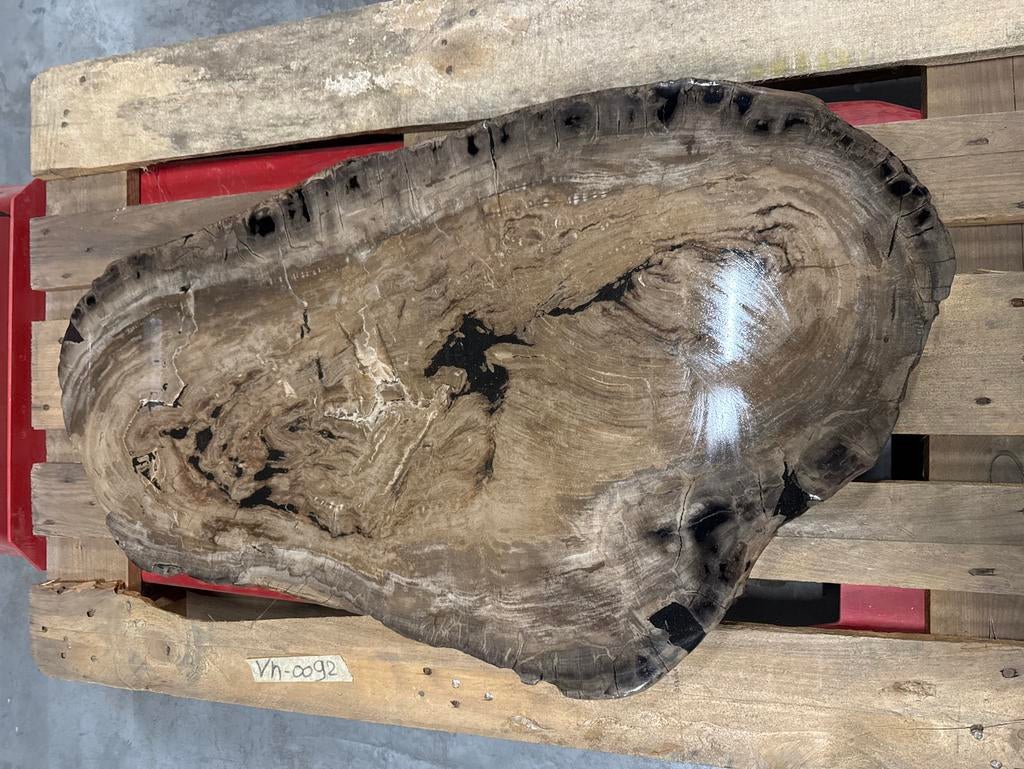 Versteend Hout Epoxy Tafelblad 96x58cm, Antiek en Kunst, Kunst | Designobjecten, Ophalen