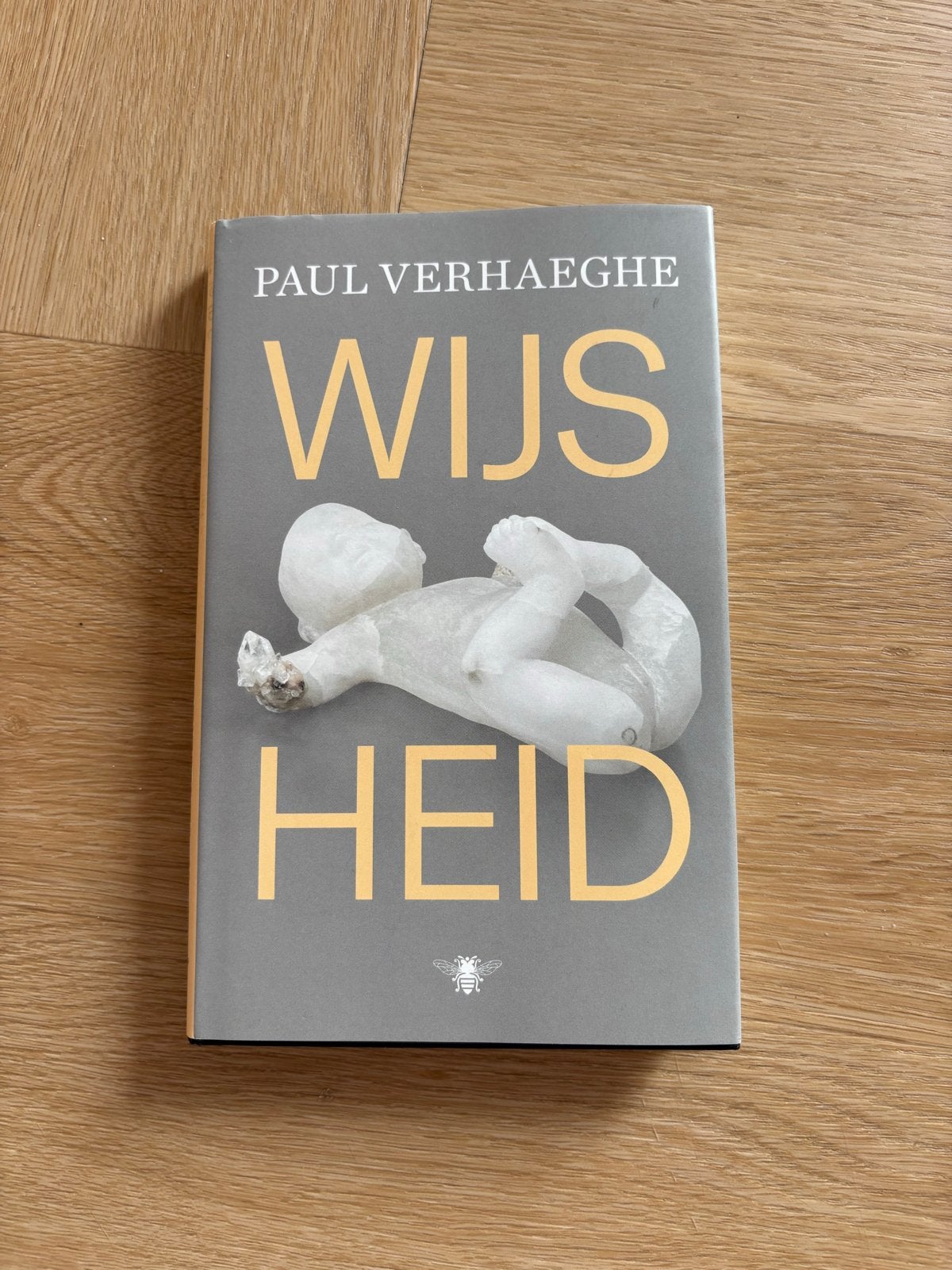 Paul Verhaeghe - Wijsheid, Boeken, Ophalen of Verzenden, Zo goed als nieuw, Paul Verhaeghe
